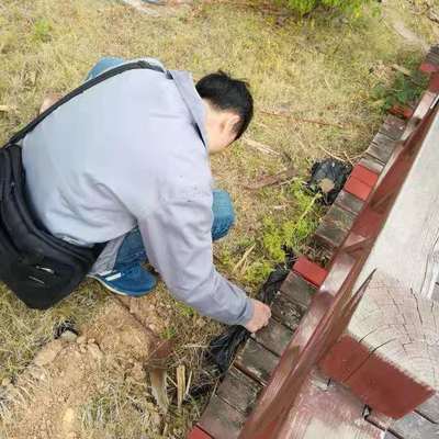 屯昌白蟻防治 口碑好 質(zhì)量可靠