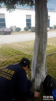 圖 科學城食品工廠房倉庫車間殺蟲滅鼠滅蟑除四害滅白蟻預防 廣州保潔 清洗