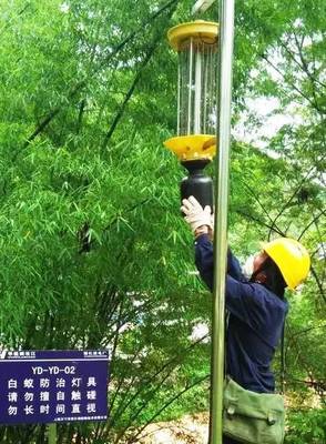 五年創造八項典型成果