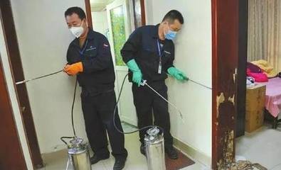 泰州一居民家中來了一群蟲子,水泥地都被咬出洞了!