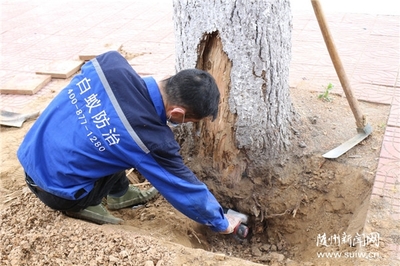 省水利廳專家來隨開展培訓白蟻防治