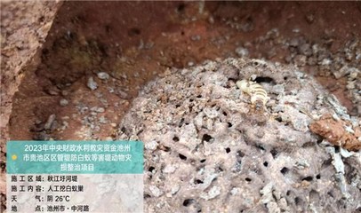 貴池區水利局:多措并舉開展白蟻防治