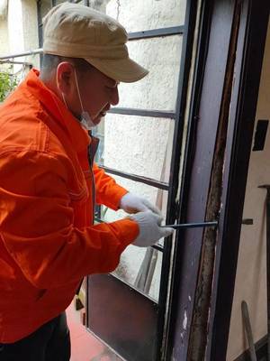 白蟻來襲莫要慌!54家專業白蟻防治機構名單出爐!快看普陀有哪些?