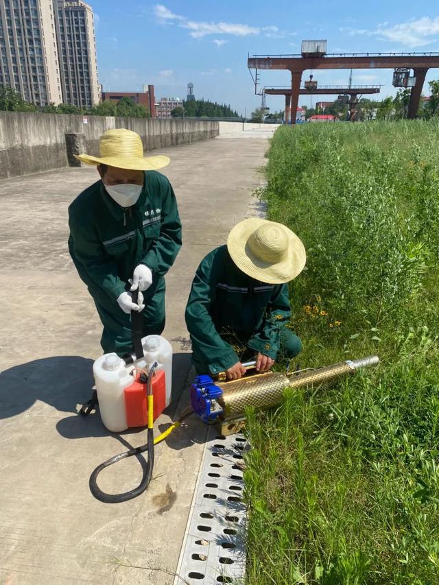 滅“四害” 護健康 守安全 丨 楊房物業白蟻防治服務部開展除“四害”專項消殺行動
