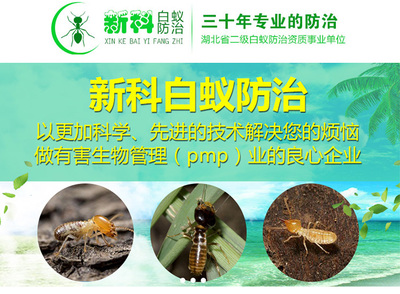 武漢新科白蟻防治 專業白蟻防治 漢南白蟻防治