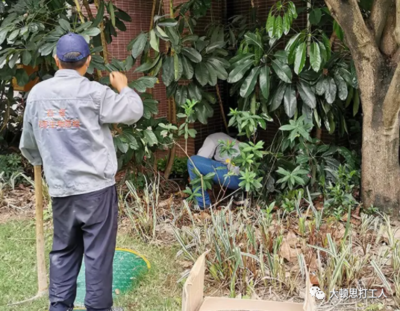 白蟻防治工證怎么考方法及流程詳解