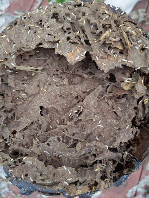 搜了視頻 產品視頻 b2b視頻 供應視頻