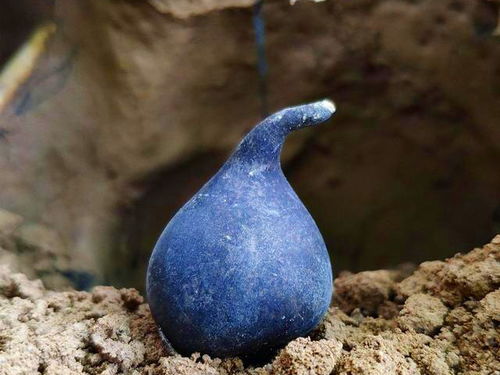 樂清白蟻防治中心電話 指定白蟻防治中心 白蟻防疫站