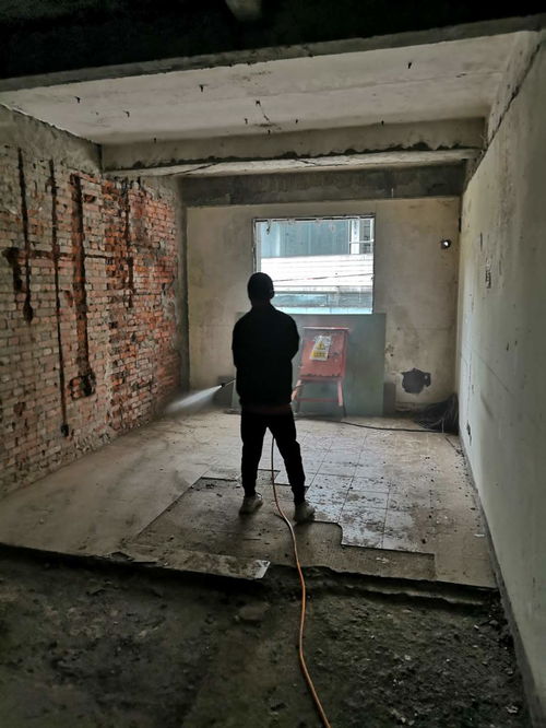 成都白蟻防治公司 八方資源網(wǎng)