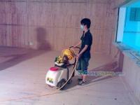 供應供應:珠海白蟻防治公司,專業(yè)白蟻防治-珠海創(chuàng)衛(wèi)白蟻防治公司_印刷_世界工廠網(wǎng)中國產(chǎn)品信息庫