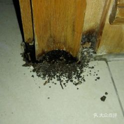 電話 地址 價格 營業(yè)時間 越秀區(qū)更多生活服務團購 廣州生活服務