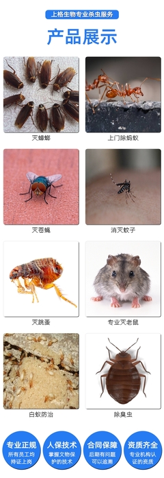 上海飯店驅白蟻