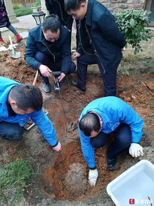 成都小區端掉白蟻軍團 蟻王蟻后被活捉上百萬只白蟻被清理