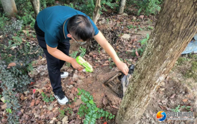 邵陽縣住保中心多措并舉做好白蟻防治工作