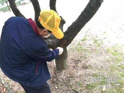 2018.11.3益眾公司.南頭街道老舊住宅白蟻防控消殺工作圖