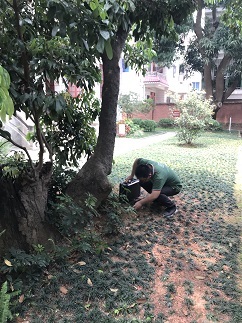 東莞白蟻防治中心