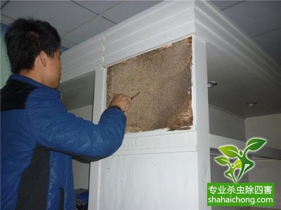 居民如何預防白蟻