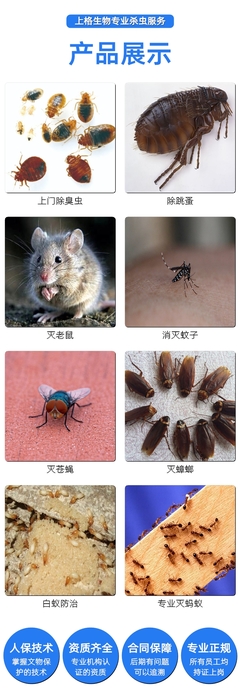 溫州pco殺蟲,溫州殺蟲滅鼠公司費用