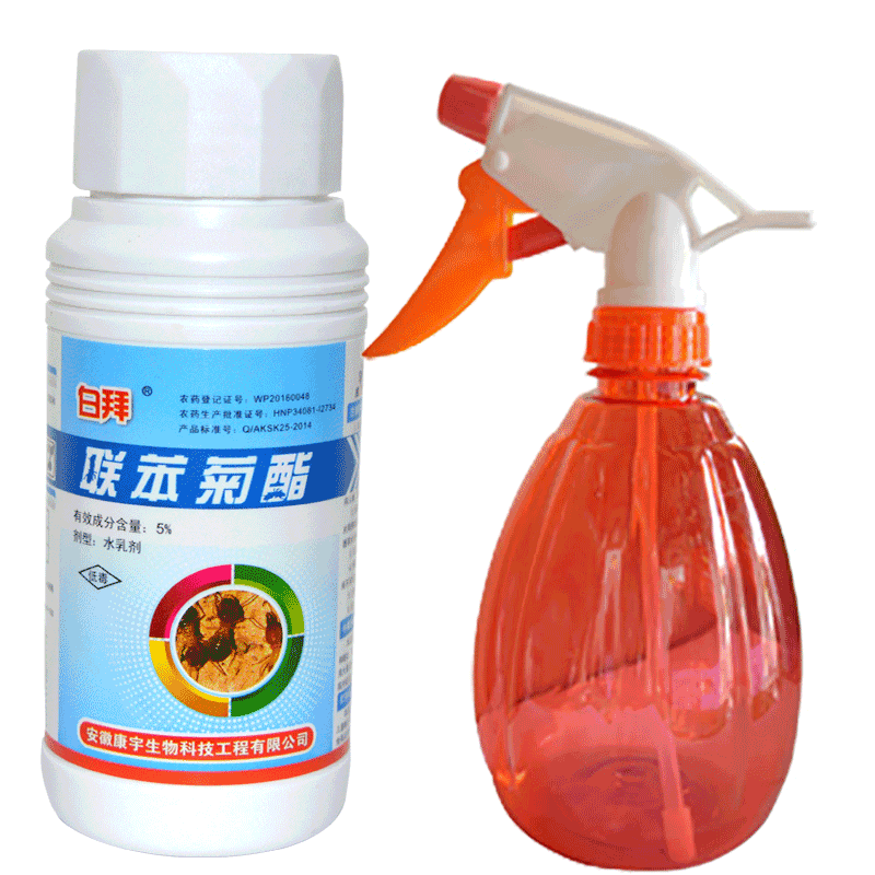 康宇白蟻殺蟲劑白拜聯苯菊酯木地板板裝修用預防白蟻藥滅白蟻藥劑100ml*瓶 3瓶裝包郵配送小壺