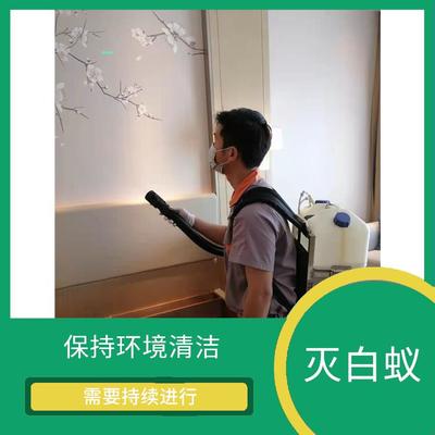 滅螞蟻 花都區工廠殺蟲施工