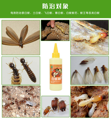 衛士威白蟻藥白蟻粉 裝修白蟻防治殺白蟻整巢端 1%氟蟲腈滅白蟻藥