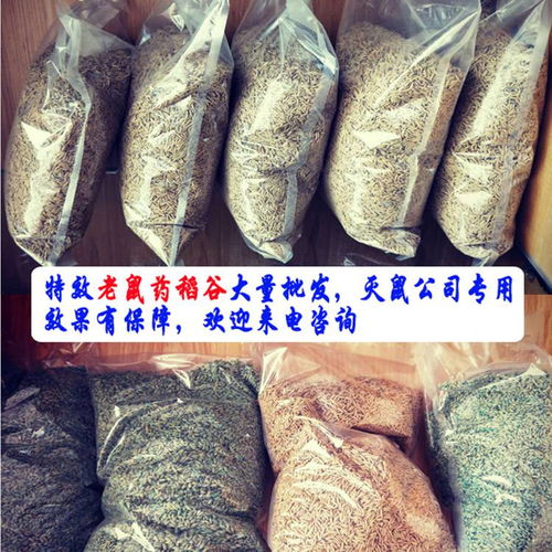 【巨恒滅老鼠效果好的稻谷藥滅鼠公司滅鼠專用藥老鼠誘殺老鼠防治】- 