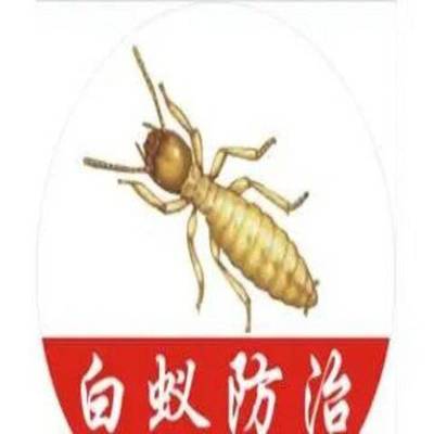 全南白蟻防治所 古建筑滅白蟻 消除隱患-環(huán)保無害