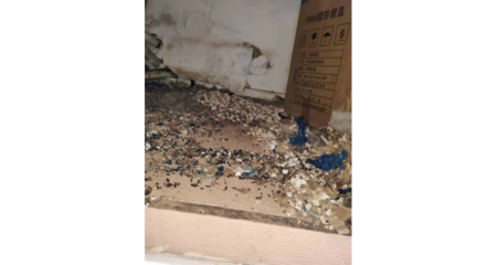 江蘇家里滅白蟻怎樣收費 創(chuàng)新服務(wù) 上海榮幫蟲害防治供應(yīng)