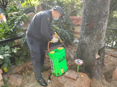 增城區(qū)增江白蟻防治清理白螞蟻上門公司-衛(wèi)城全市快速上門質(zhì)優(yōu)價平