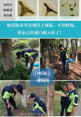 長沙滅白蟻公司為企業(yè)單位提供上門白蟻防治服務(wù),長沙白蟻防治中心推薦