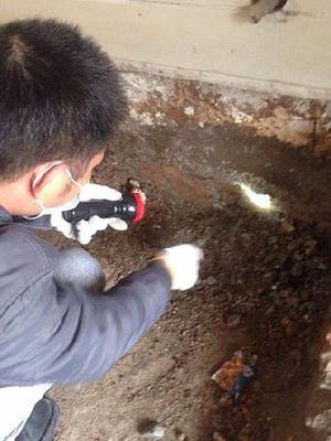 東莞白蟻防治,白蟻防治協(xié)會會員單位,質(zhì)優(yōu)價廉老品牌