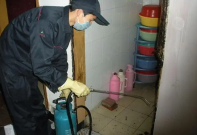 白蟻防治費多少錢