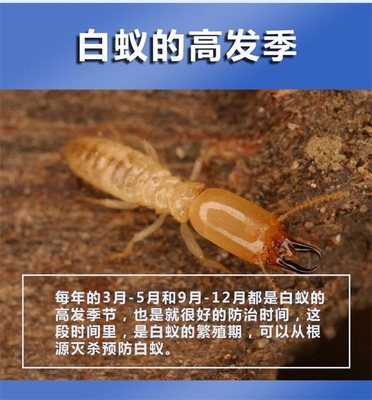 富美實百戶喜白蟻藥十年長效防治保護堤壩水庫建筑古寺