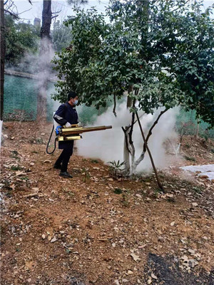 木括源滅四害 漢口白蟻防治中心