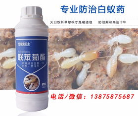 怎樣徹底消滅蟑螂 酒店有蟑螂怎么辦 消滅蟑螂的辦法