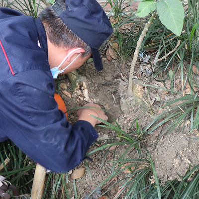 眉山廣安商場白蟻防治電話 百戶喜