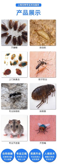 滅白蟻專家 廠區白蟻防治 智能化監測 挖巢清除 售后包治時間長