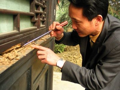 武漢滅白蟻 易澤生物防治