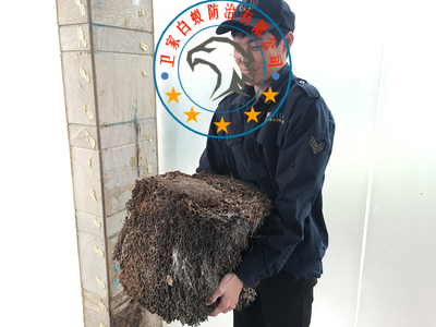 白蟻防治