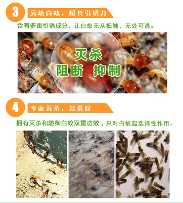 衛士威白蟻藥白蟻粉 裝修白蟻防治殺白蟻整巢端 1%氟蟲腈滅白蟻藥
