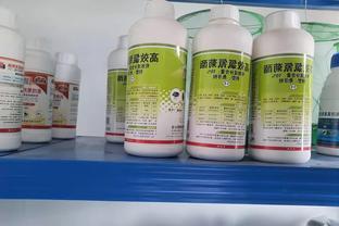 2020年的白蟻分飛期大約開始時間