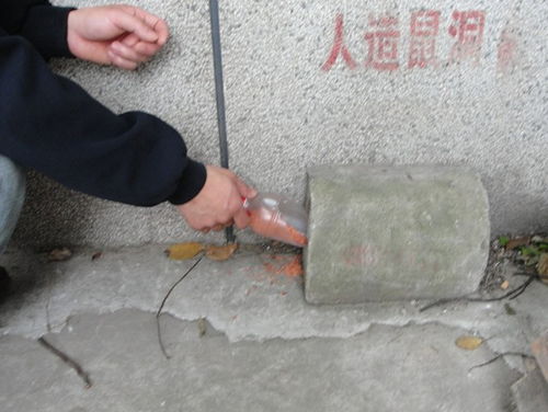 圖 東莞除蟲(chóng)公司 殺蟑螂 滅老鼠 除白蟻 東莞保潔清洗 東莞列表網(wǎng)