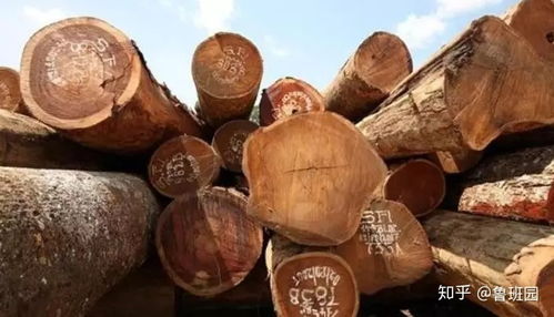 木材 柚木王 非洲柚木 老撾柚木...細(xì)數(shù)這些柚木的 山寨貨
