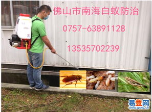 【黃岐除白蟻公司黃岐治白蟻黃岐滅白蟻黃岐?dú)⑾x(chóng)黃岐滅鼠】-南海 南海周邊易登網(wǎng)