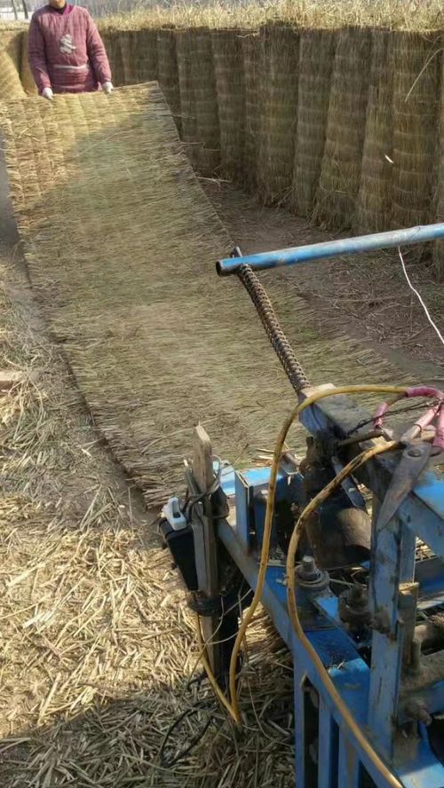 綠化草苫市場(chǎng)需求旺 稻夫草編制品廠