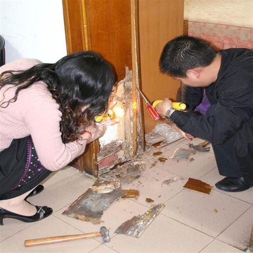 重慶金螞蟻 圖 滅老鼠公司 重慶有害生物防治