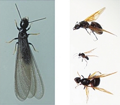 區(qū)住房和城市更新局