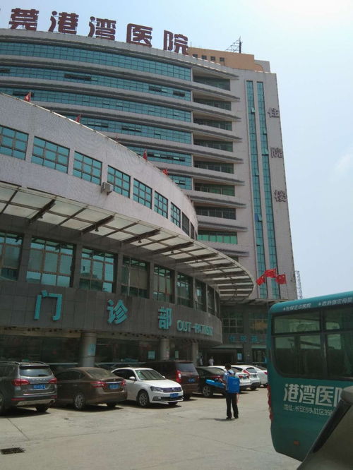 華富工廠白蟻預防收費價格