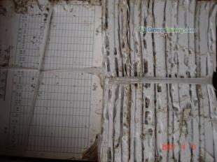 供應廣州1清遠白蟻防治所聯系電話O2O#8458b2bI公司_紡織皮革_世界工廠網中國產品信息庫