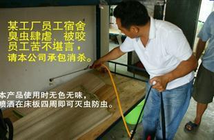 【(1圖)深圳松崗殺蟲公司寶安殺跳騷、臭蟲、白蟻】- 深圳列舉網